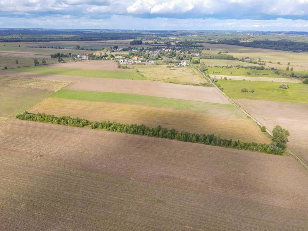 Działka rolna 5000&nbsp;m², Białogórzyno - zdjęcie 5