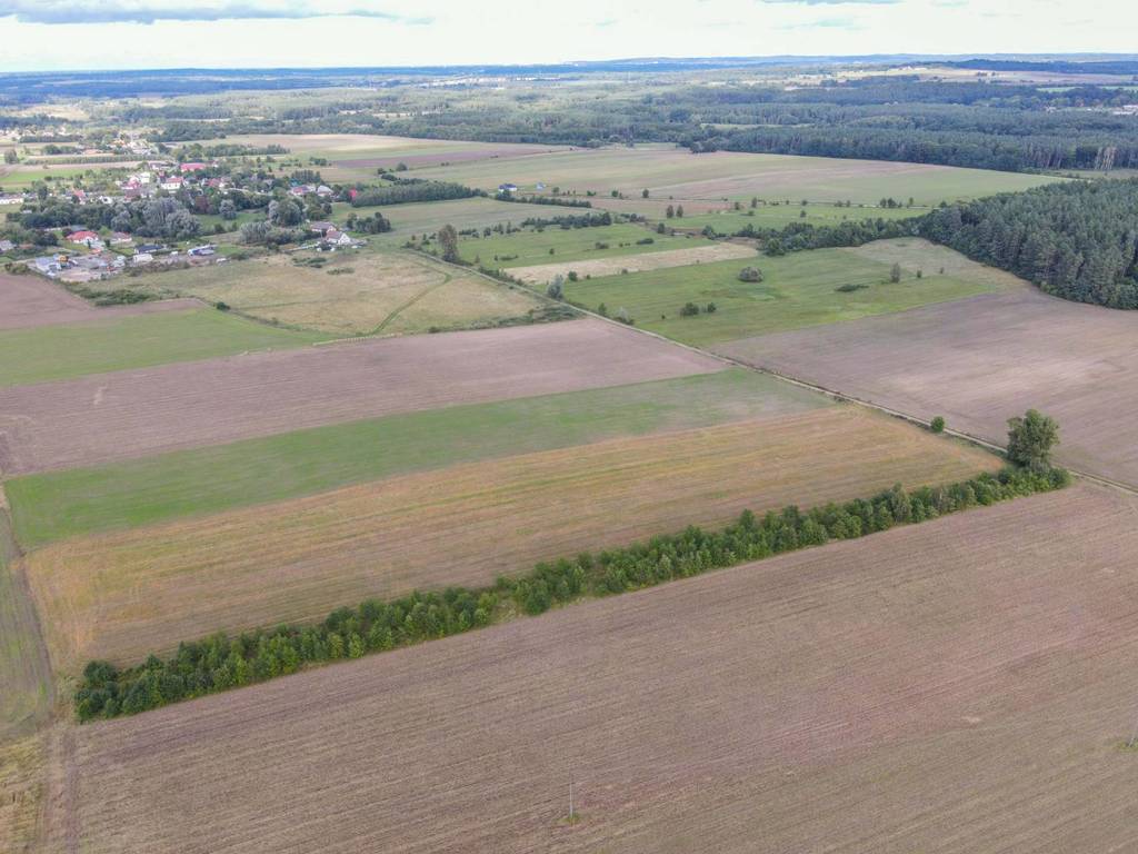 Działka rolna 5000&nbsp;m², Białogórzyno - zdjęcie 8