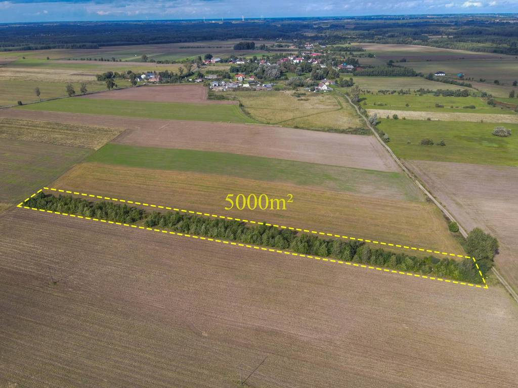 Działka rolna 5000&nbsp;m², Białogórzyno - zdjęcie 2