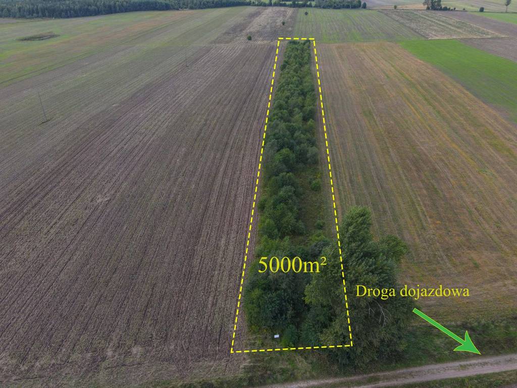 Działka rolna 5000&nbsp;m², Białogórzyno - zdjęcie 6