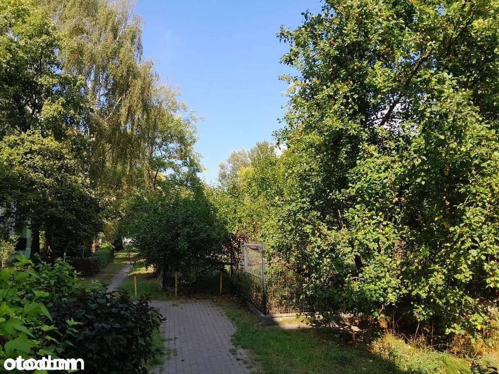 Działka budowlana 1321&nbsp;m², Łódź, Zapadła - zdjęcie 7