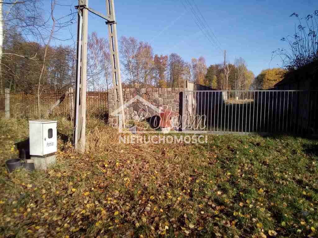 Działka budowlana 3069 m², Grzepnica - zdjęcie 4