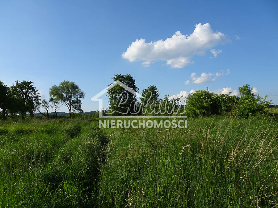 Działka budowlana 1962 m², Binowo - zdjęcie 3