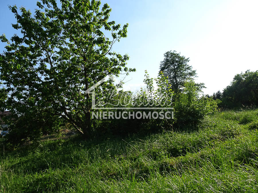 Działka budowlana 1962 m², Binowo - zdjęcie 4
