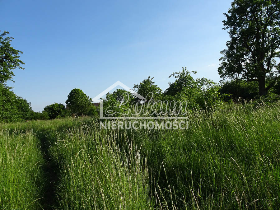 Działka budowlana 1962 m², Binowo - zdjęcie 10