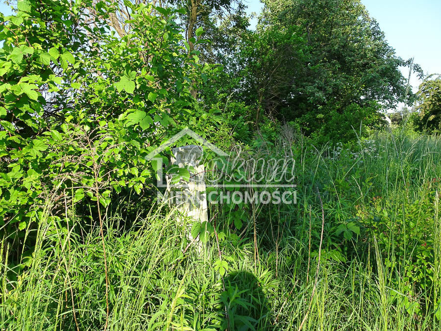 Działka budowlana 1962 m², Binowo - zdjęcie 7