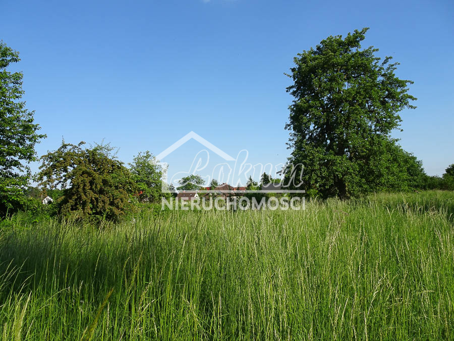 Działka budowlana 1962 m², Binowo - zdjęcie 9