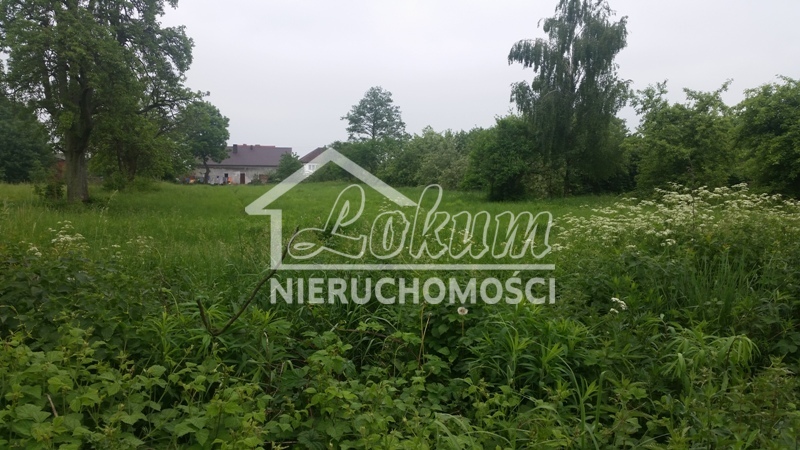 Działka budowlana 1962 m², Binowo - zdjęcie 5