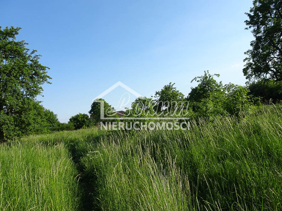 Działka budowlana 1962 m², Binowo - zdjęcie 2