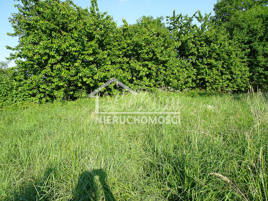 Działka budowlana 1962 m², Binowo - zdjęcie 16