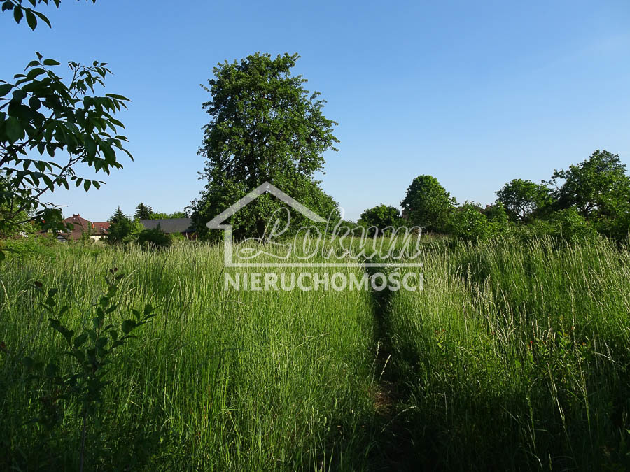 Działka budowlana 1962 m², Binowo - zdjęcie 8