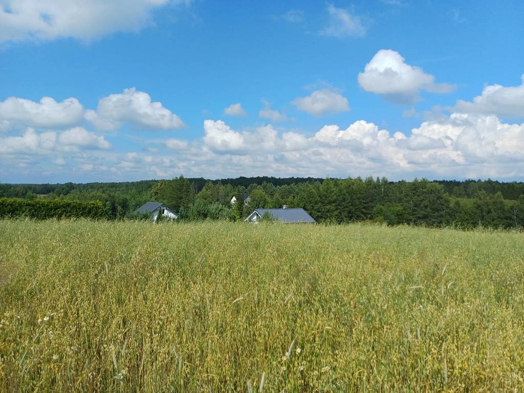 Działka budowlana 1011 m², Borzestowska Huta - zdjęcie 5