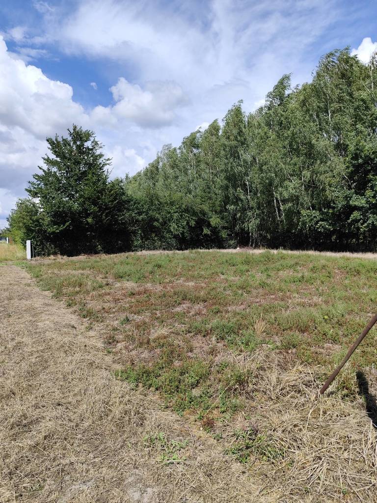 Działka gospodarstwo 600 m², Majdan Zahorodyński - zdjęcie 3