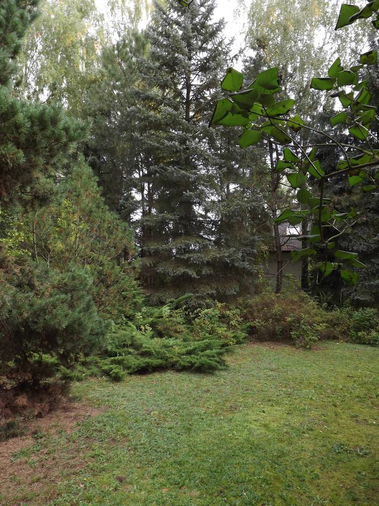 Dom 55 m², Burlaki - zdjęcie 2