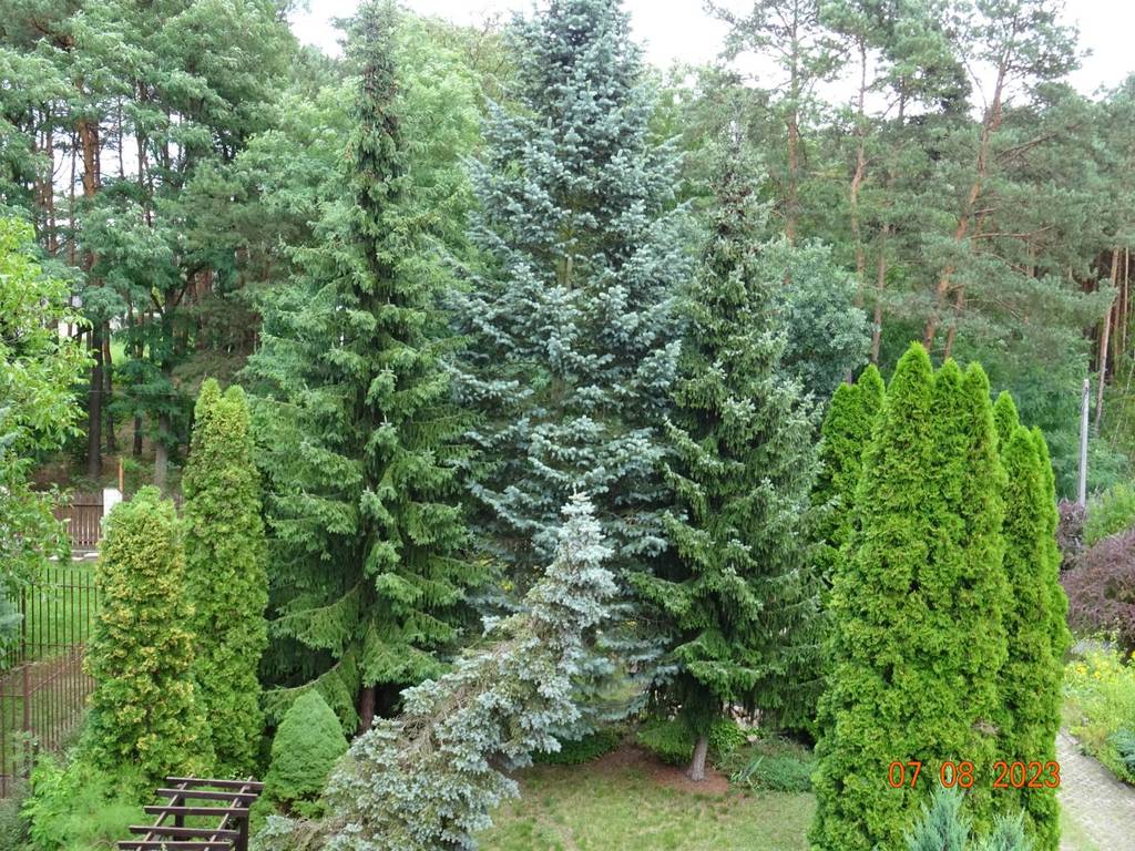 Dom 153 m², Długa Szlachecka, Jana Matejki - zdjęcie 8