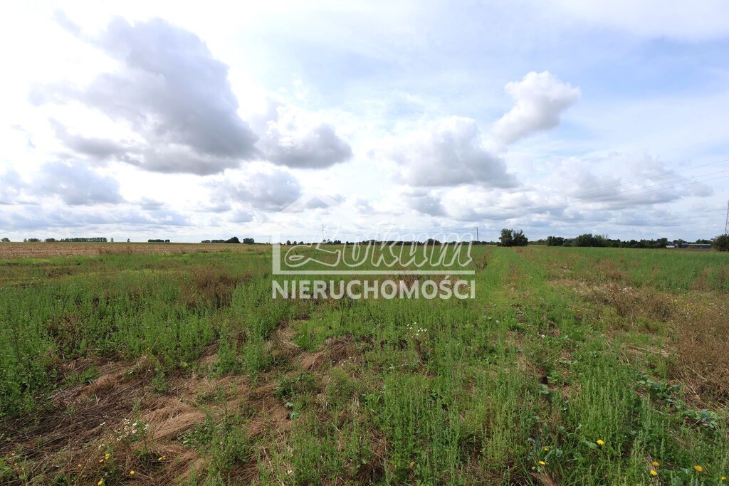 Działka budowlana 861 m², Maszewo - zdjęcie 4