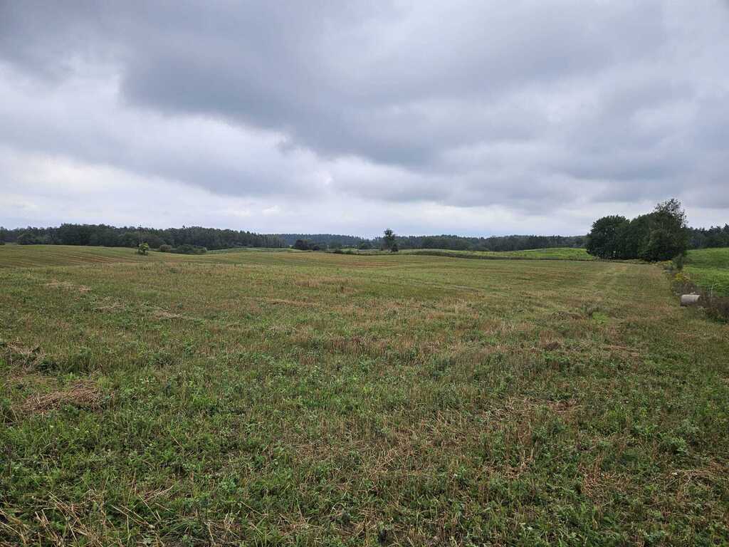 Działka rolna 2,99&nbsp;ha, Jora Wielka - zdjęcie 8