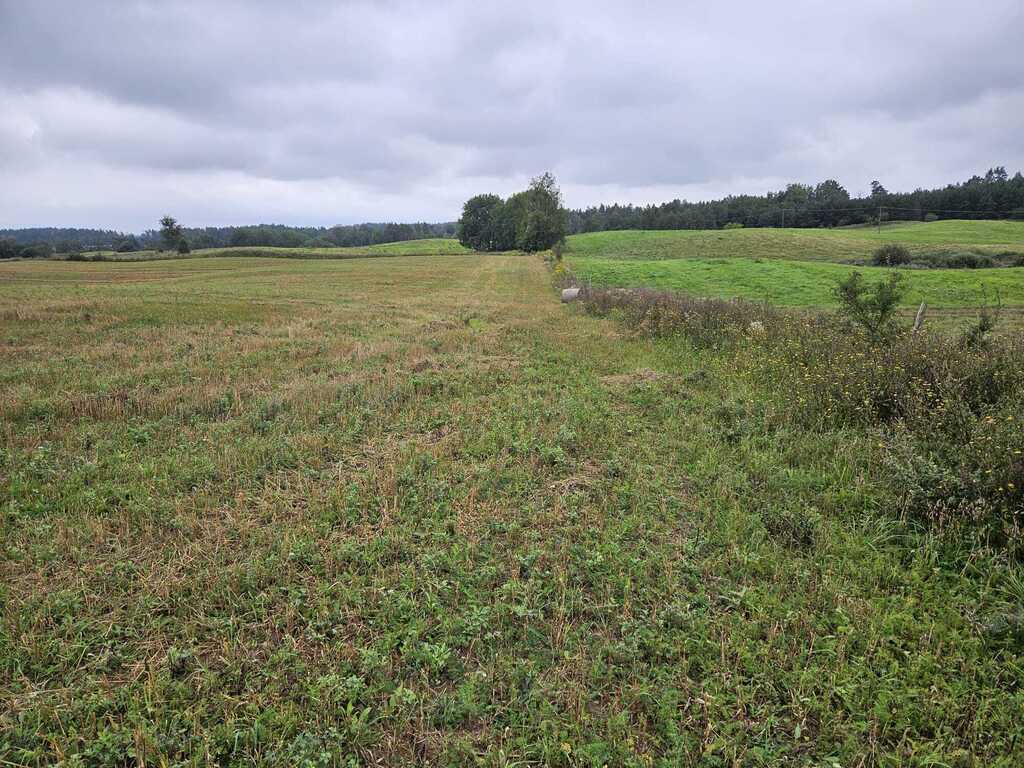 Działka rolna 2,99&nbsp;ha, Jora Wielka - zdjęcie 10