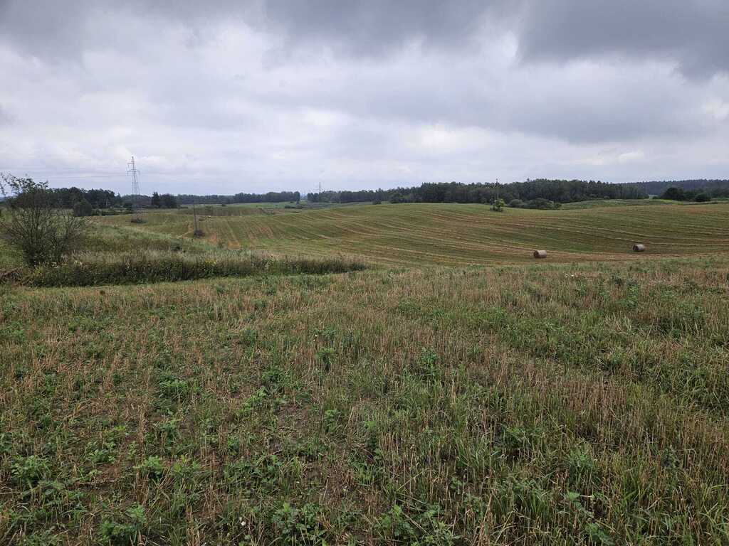 Działka rolna 2,99&nbsp;ha, Jora Wielka - zdjęcie 2