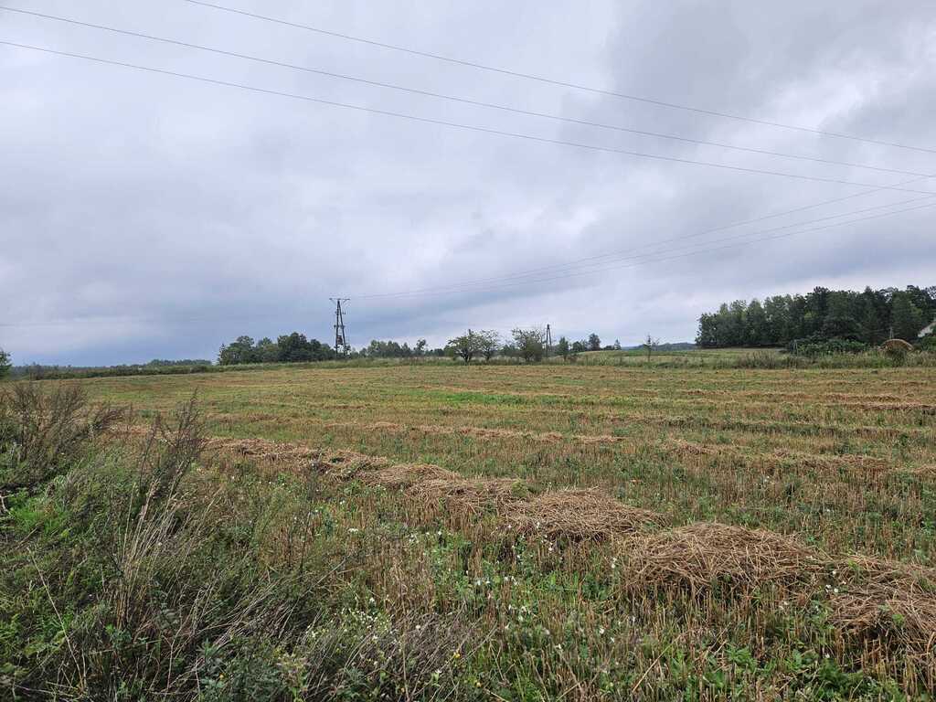 Działka rolna 2,99&nbsp;ha, Jora Wielka - zdjęcie 17