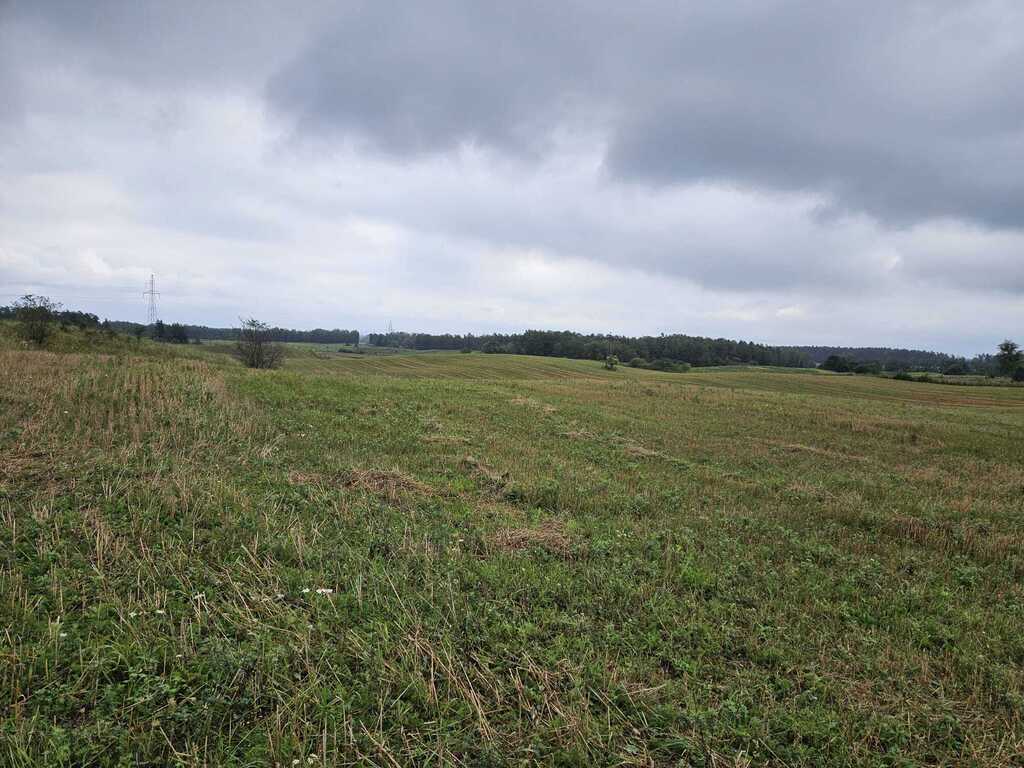 Działka rolna 2,99&nbsp;ha, Jora Wielka - zdjęcie 7