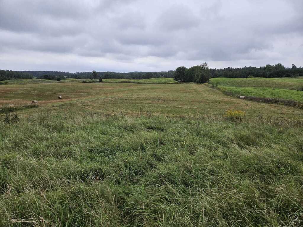 Działka rolna 2,99&nbsp;ha, Jora Wielka - zdjęcie 12