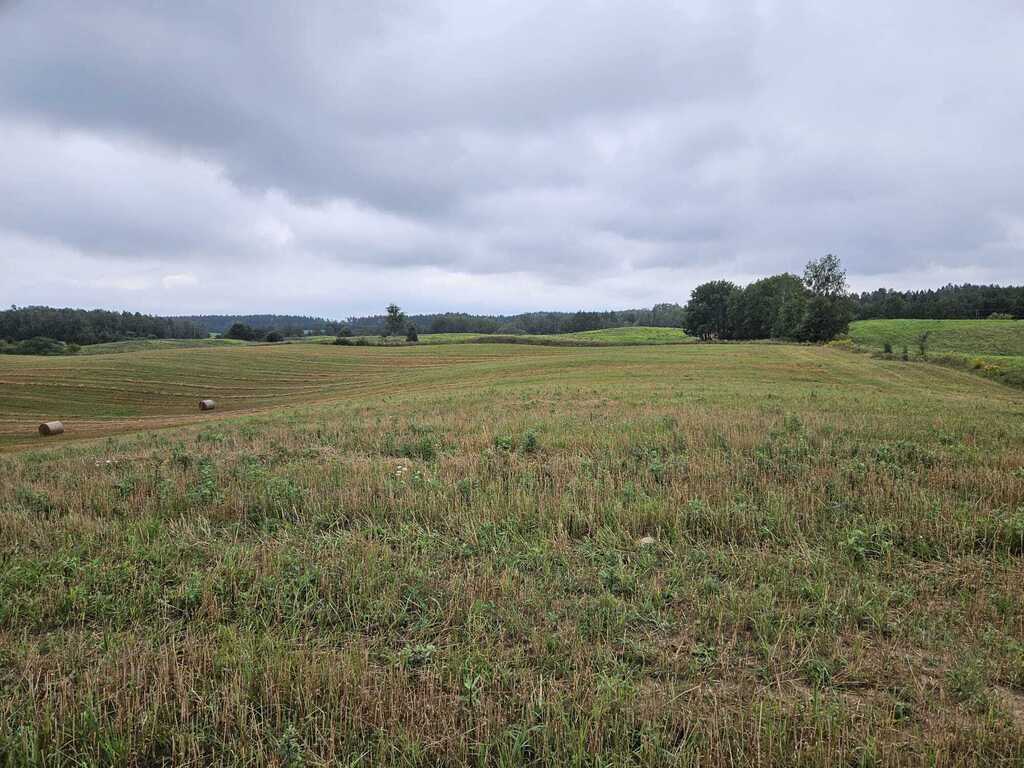 Działka rolna 2,99&nbsp;ha, Jora Wielka - zdjęcie 1