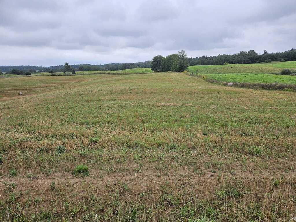 Działka rolna 2,99&nbsp;ha, Jora Wielka - zdjęcie 15