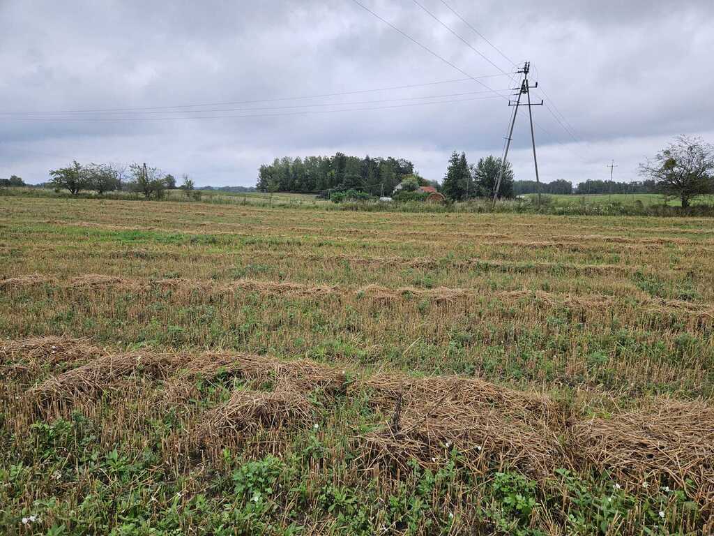 Działka rolna 2,99&nbsp;ha, Jora Wielka - zdjęcie 19