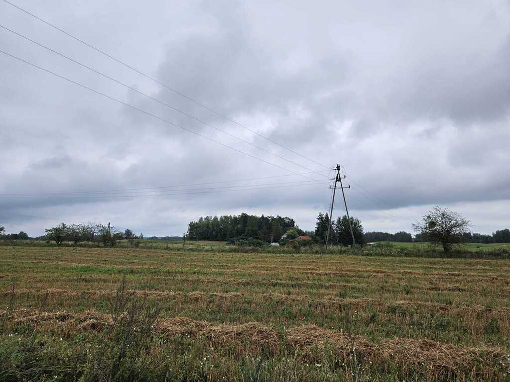Działka rolna 2,99&nbsp;ha, Jora Wielka - zdjęcie 11