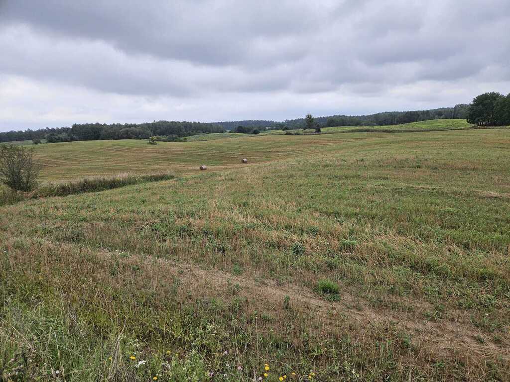 Działka rolna 2,99&nbsp;ha, Jora Wielka - zdjęcie 14