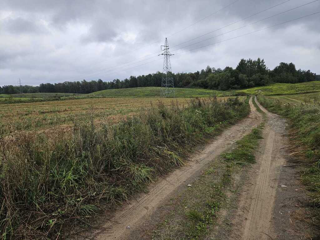 Działka rolna 2,99&nbsp;ha, Jora Wielka - zdjęcie 16