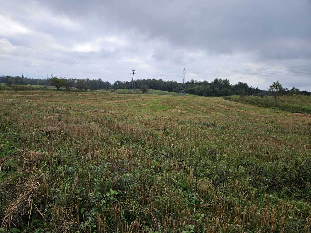 Działka rolna 2,99&nbsp;ha, Jora Wielka - zdjęcie 5