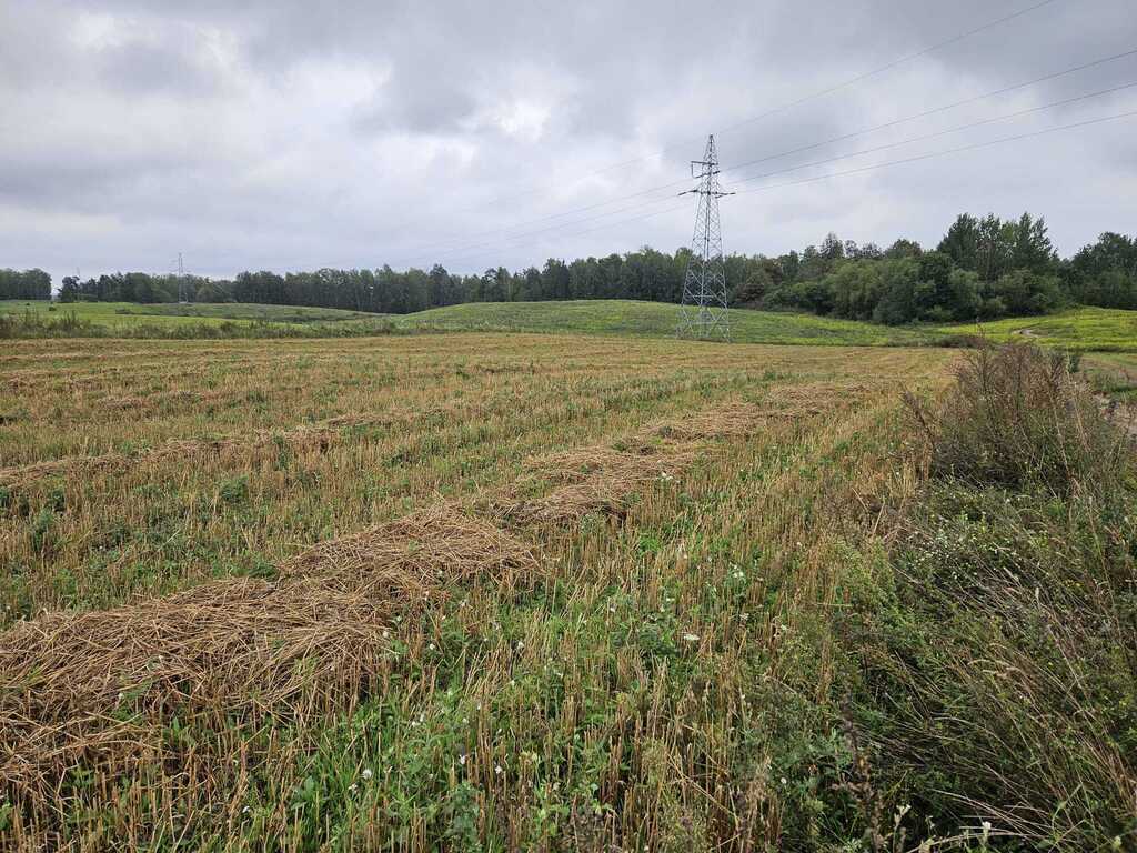 Działka rolna 2,99&nbsp;ha, Jora Wielka - zdjęcie 18