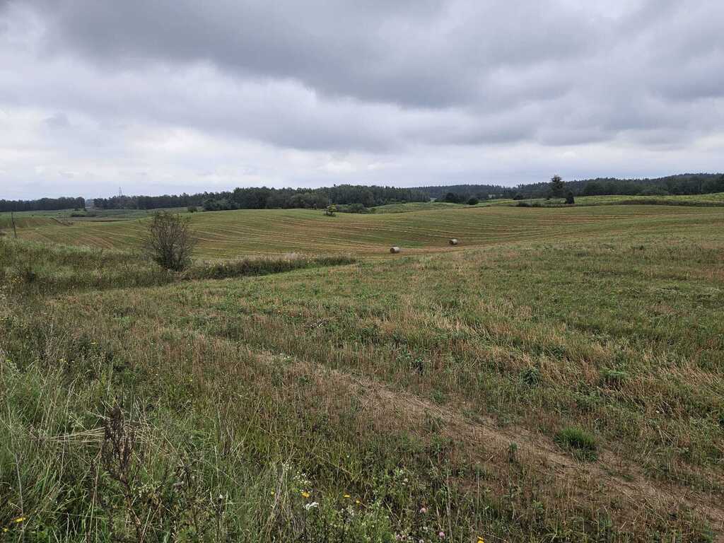 Działka rolna 2,99&nbsp;ha, Jora Wielka - zdjęcie 6