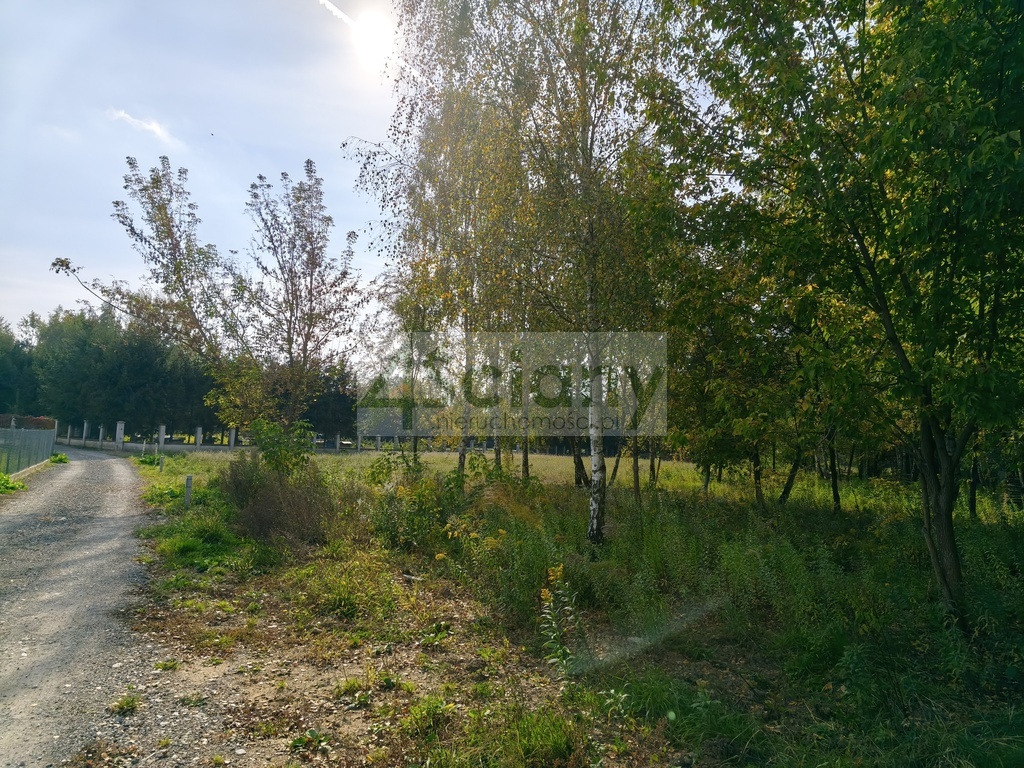 Działka budowlana 2385&nbsp;m², Kierszek - zdjęcie 4