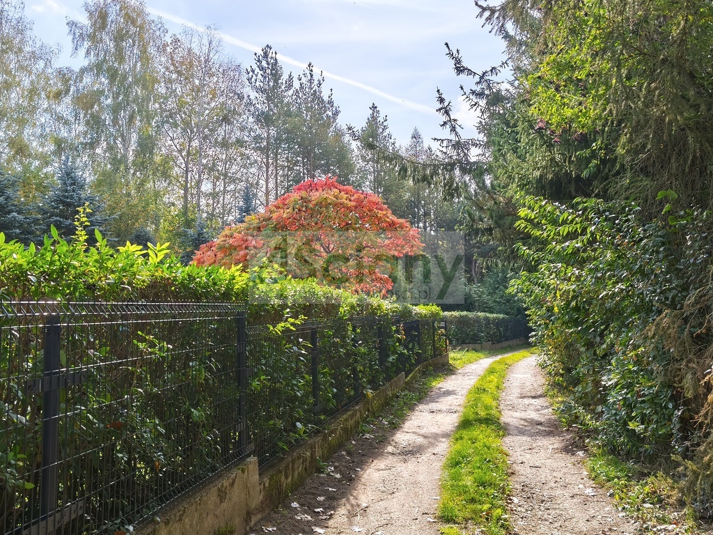 Działka budowlana 2385&nbsp;m², Kierszek - zdjęcie 10