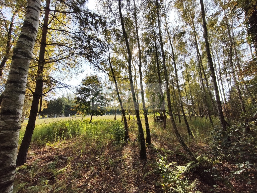 Działka budowlana 2385&nbsp;m², Kierszek - zdjęcie 1