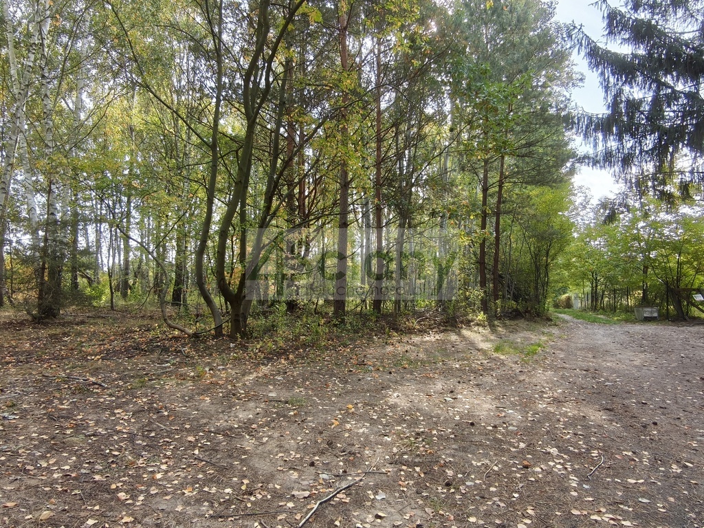 Działka budowlana 2385&nbsp;m², Kierszek - zdjęcie 9