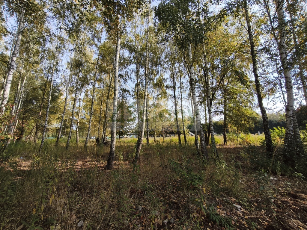 Działka budowlana 2385&nbsp;m², Kierszek - zdjęcie 6