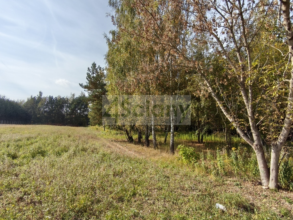 Działka budowlana 2385&nbsp;m², Kierszek - zdjęcie 3