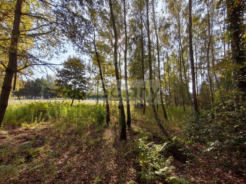 Działka budowlana 2385&nbsp;m², Kierszek - zdjęcie 5