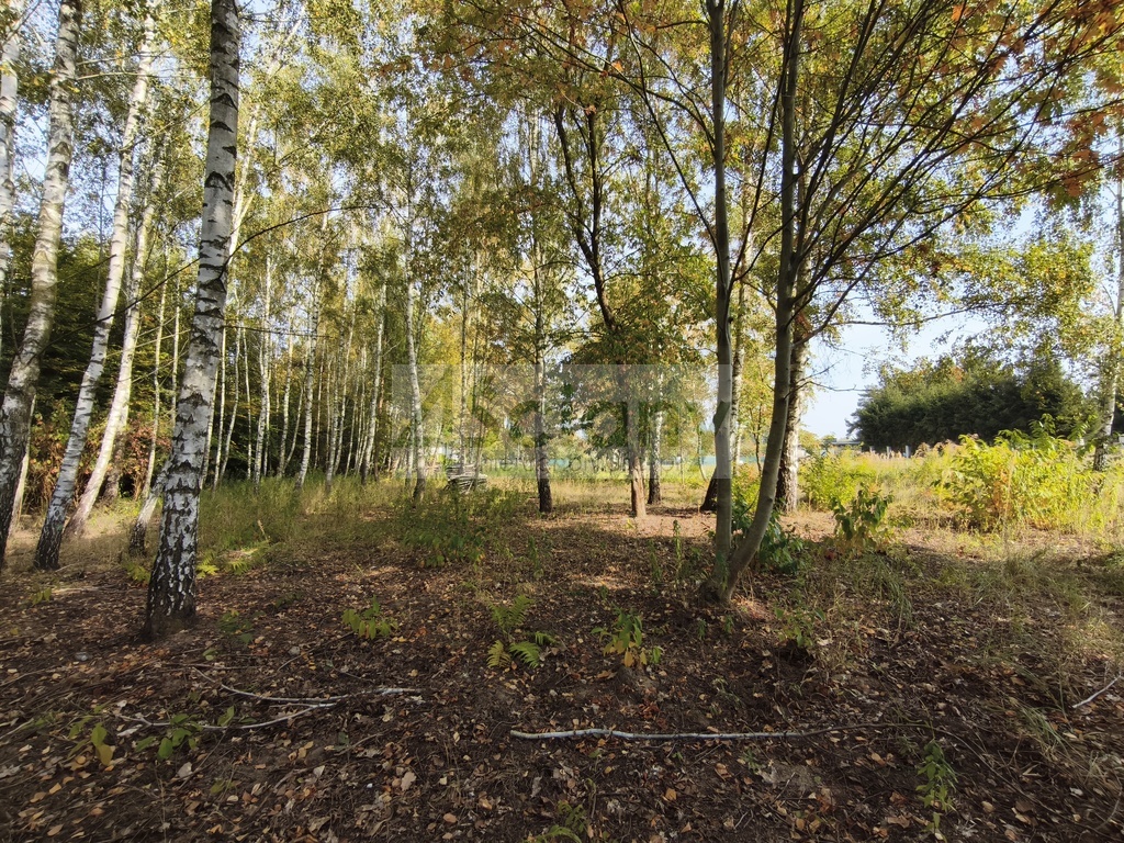 Działka budowlana 2385&nbsp;m², Kierszek - zdjęcie 2