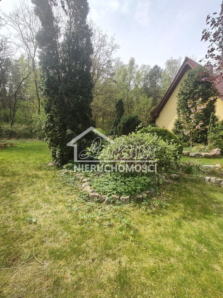 Dom 140 m², Stare Leśno - zdjęcie 13