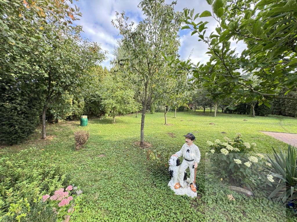 Dom 164 m², Działka 1500 m², 4 Sypialnie, Garaż - zdjęcie 10