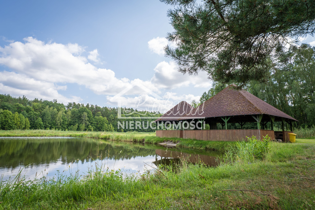 Dom 910 m², Zielątkowo - zdjęcie 11