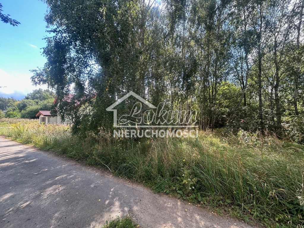 Działka budowlana 1100&nbsp;m², Dołuje - zdjęcie 3