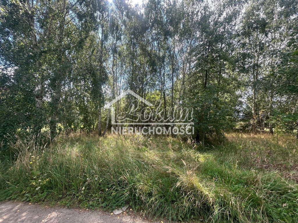 Działka budowlana 1100&nbsp;m², Dołuje - zdjęcie 5