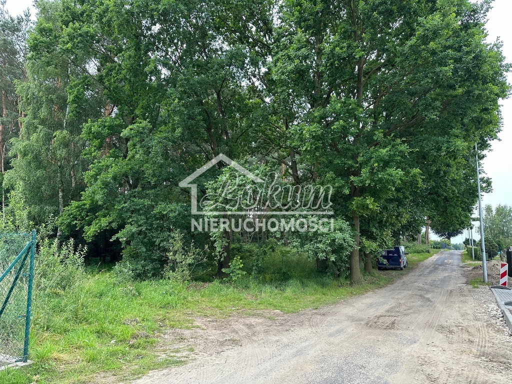 Działka rolna 1,63&nbsp;ha, Szczecin - zdjęcie 8