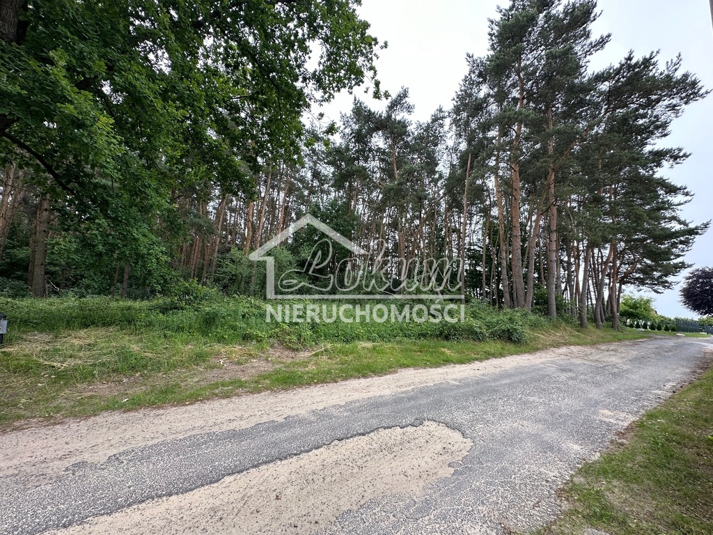 Działka rolna 1,63&nbsp;ha, Szczecin - zdjęcie 9